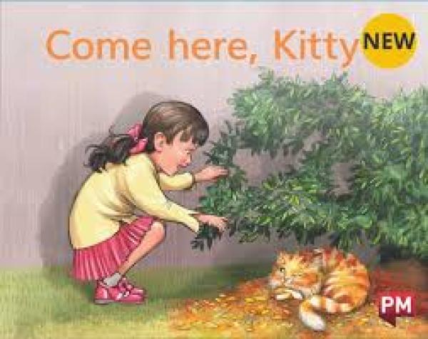 Come Here Kitty (Level 2-3)