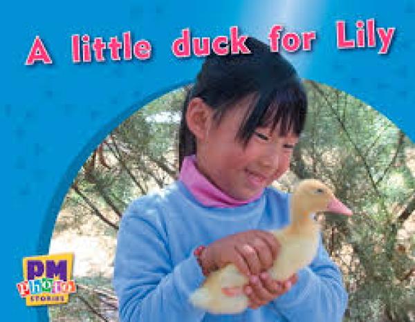 A Little Duck for Lily (LVL 2-3)