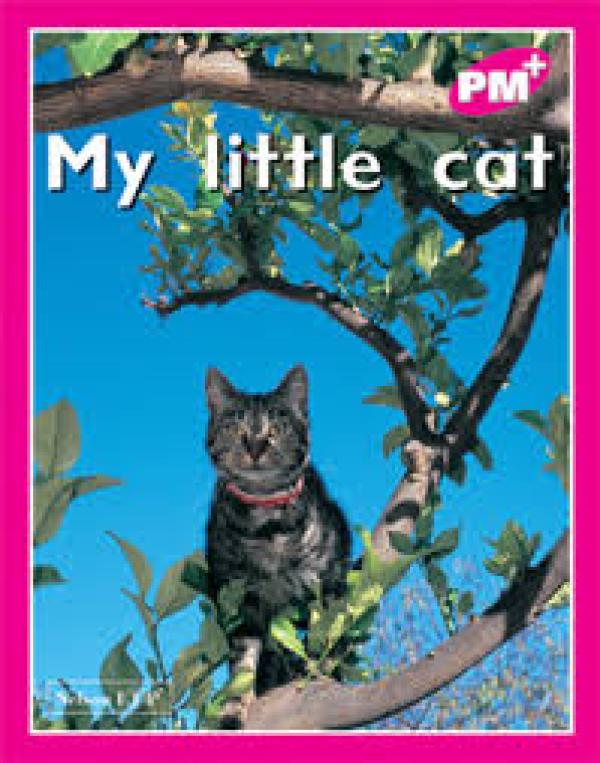 My Little Cat (Level 2)
