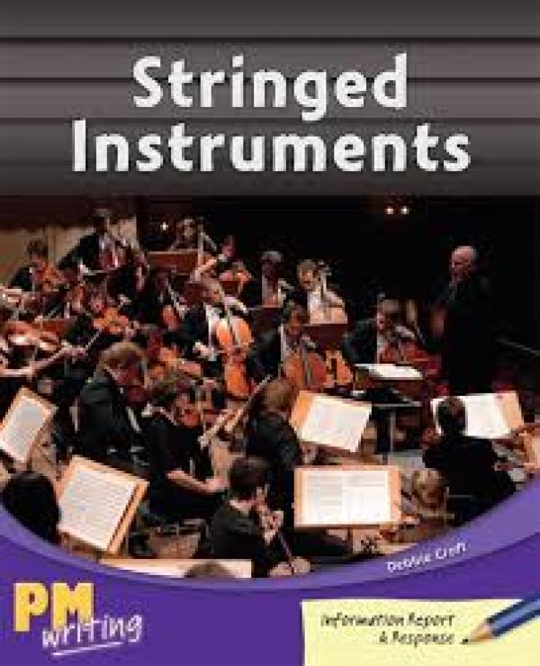 Stringed Instruments (Level 29-30)