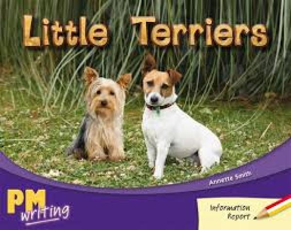 Little Terriers (Level 5-6)