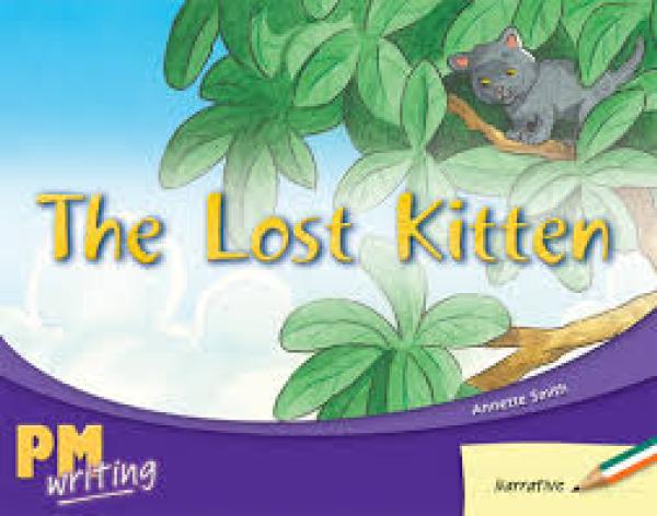The Lost Kitten (Level 14-15)