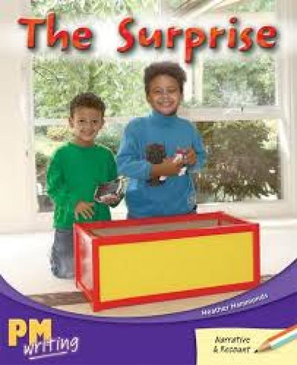 The Surprise (Level 16-17)