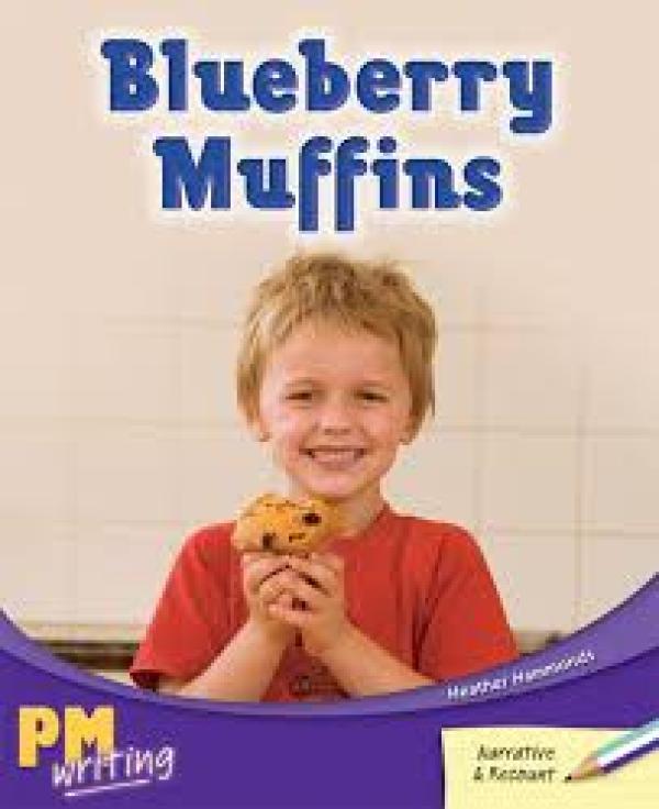 Blueberry Muffins (Level 17-19)