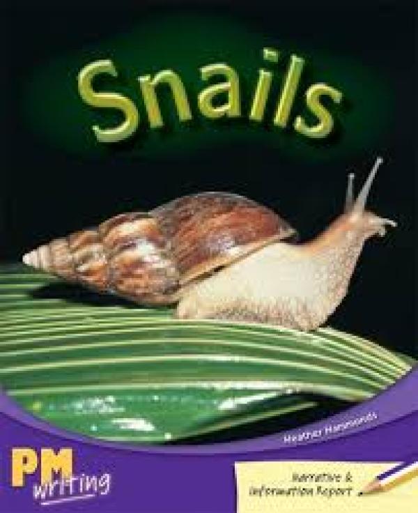 Snails (Level 19-24)