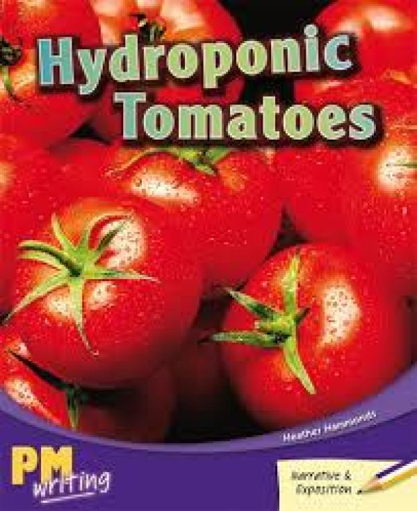 Hydroponic Tomatoes (Level 19-25)