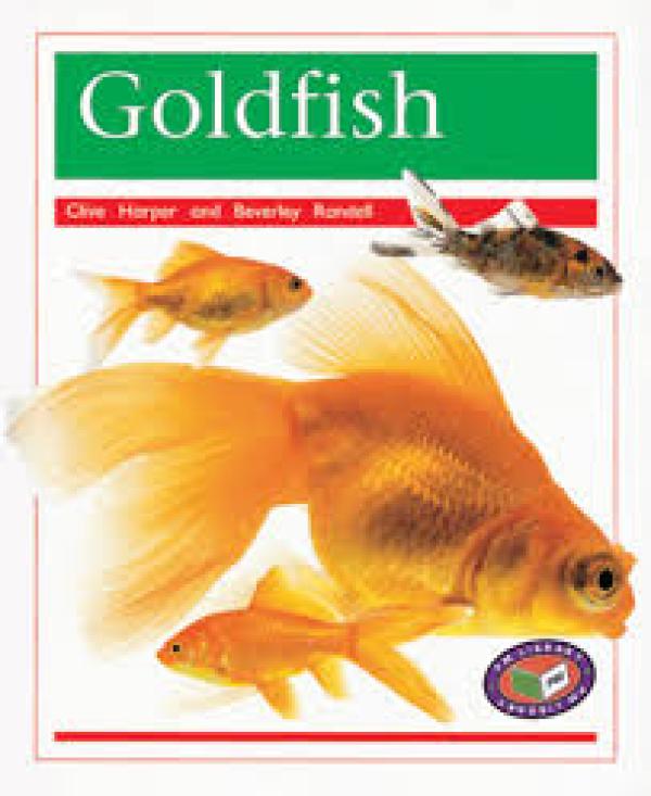 Goldfish (Level 16)