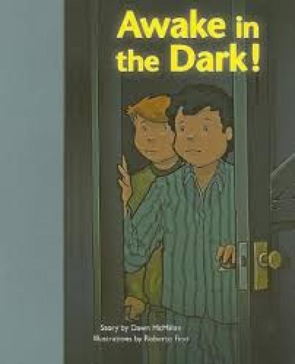 Awake in the Dark! (Level 23-24)