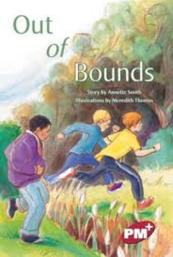 Out of Bounds (LVL 27 Fiction)