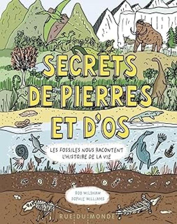 Secrets De Pierres Et D'os: Les Fossiles
