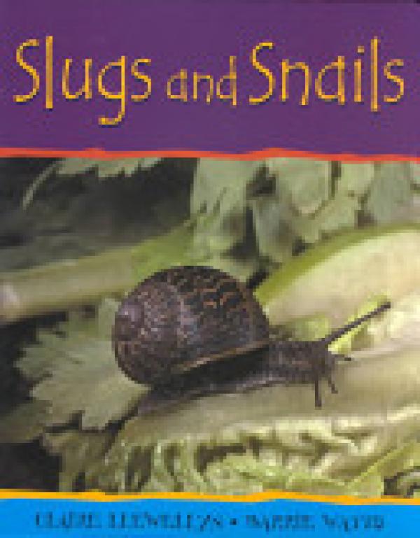Slugs and Snails