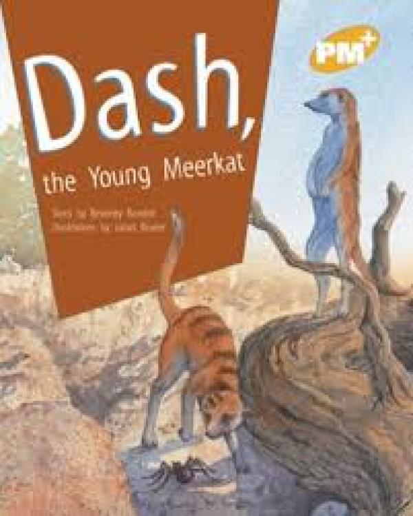 Dash, The Young Meekat (Level 21-22)