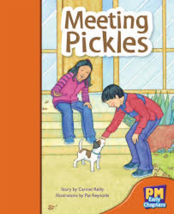 Meeting Pickles (Level 15)