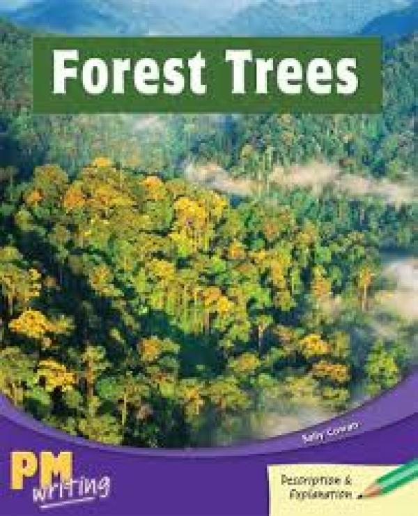 Forest Trees (Level 25-26)