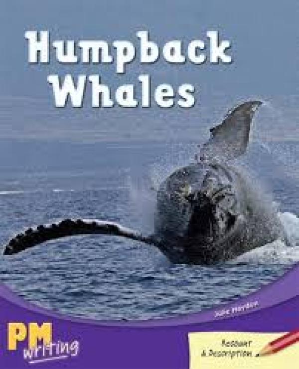 Humpback Whales (Level 27-28)