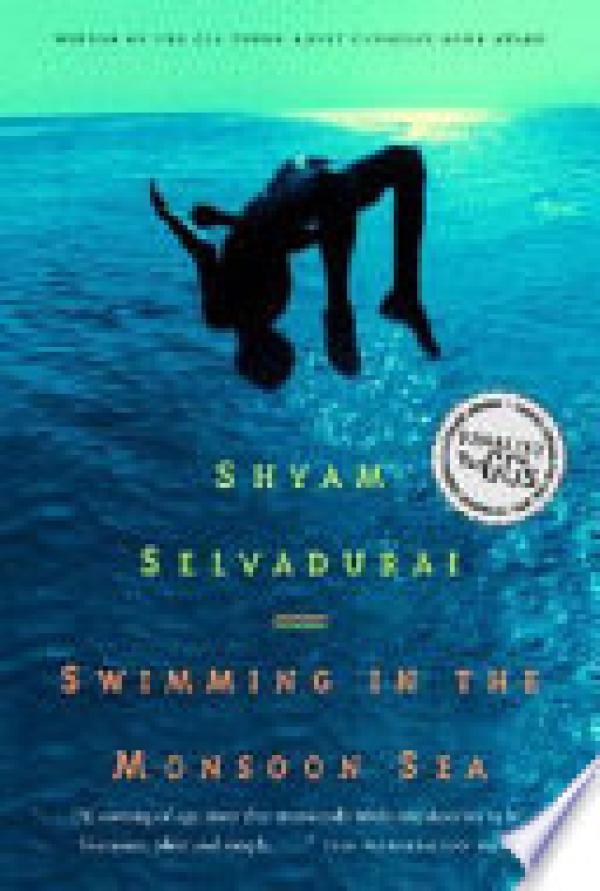 Swimming in the Monsoon Sea