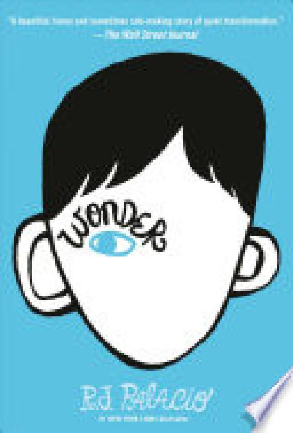 Wonder (Hardcover)