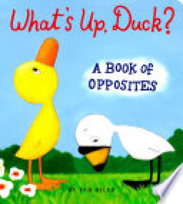 What's Up, Duck?: A Book of Opposites