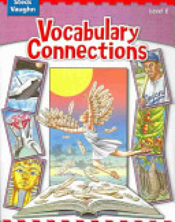 Vocabulary Connections: Level E