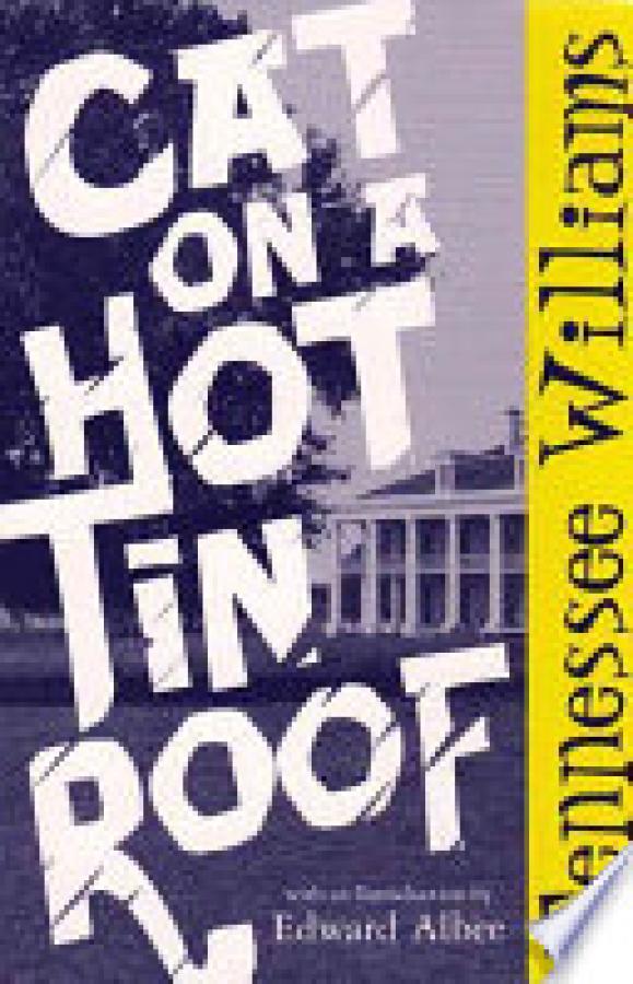 Cat on a Hot Tin Roof