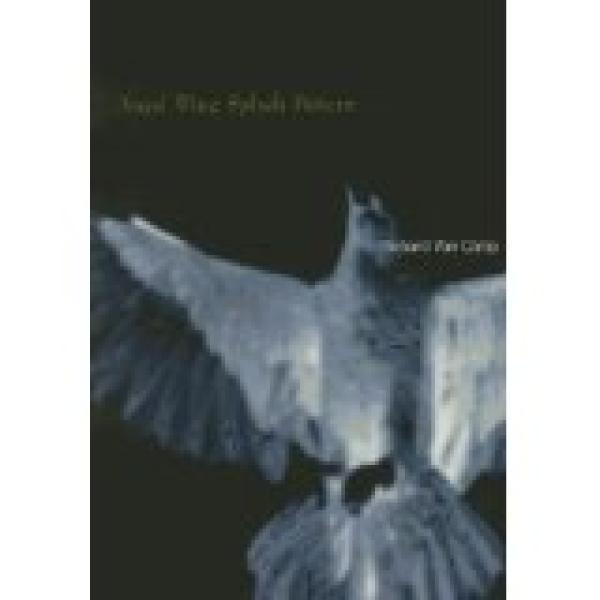 Angel Wing Splash Pattern, Second Editio