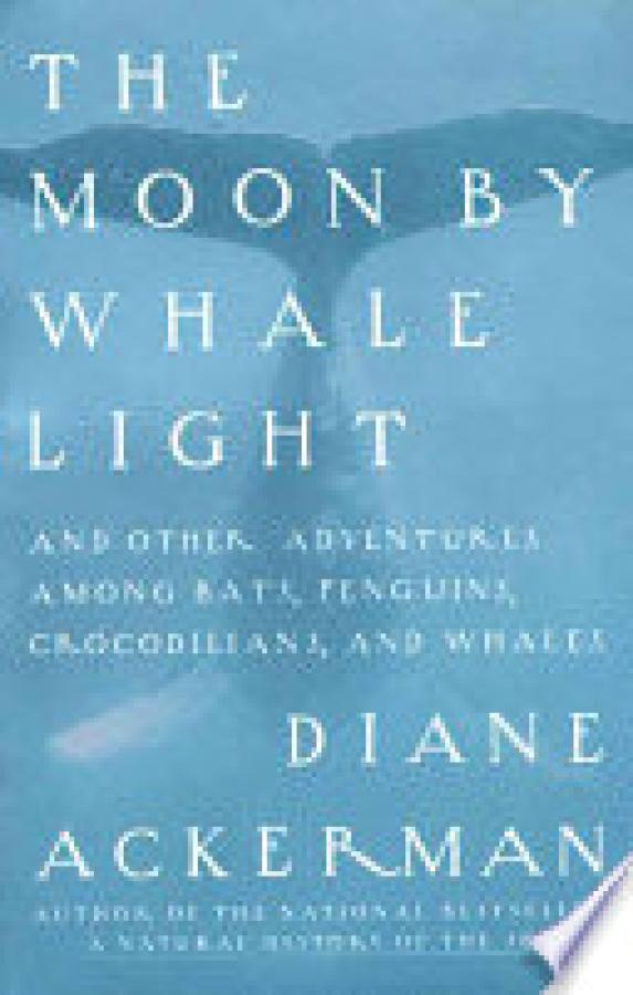 Moon By Whale Light: And Other Adventure