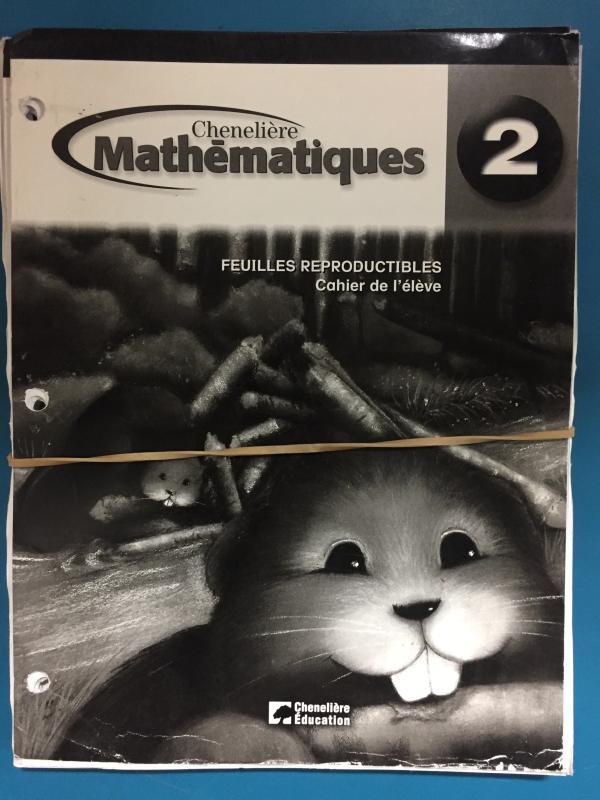 Mathematiques 2e Annee BLM
