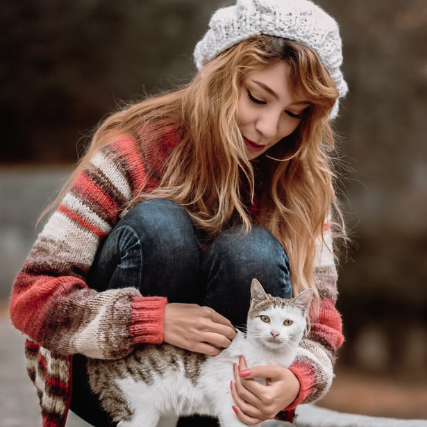 A visitor petting one of the cats available for adoption at Cafe Cat